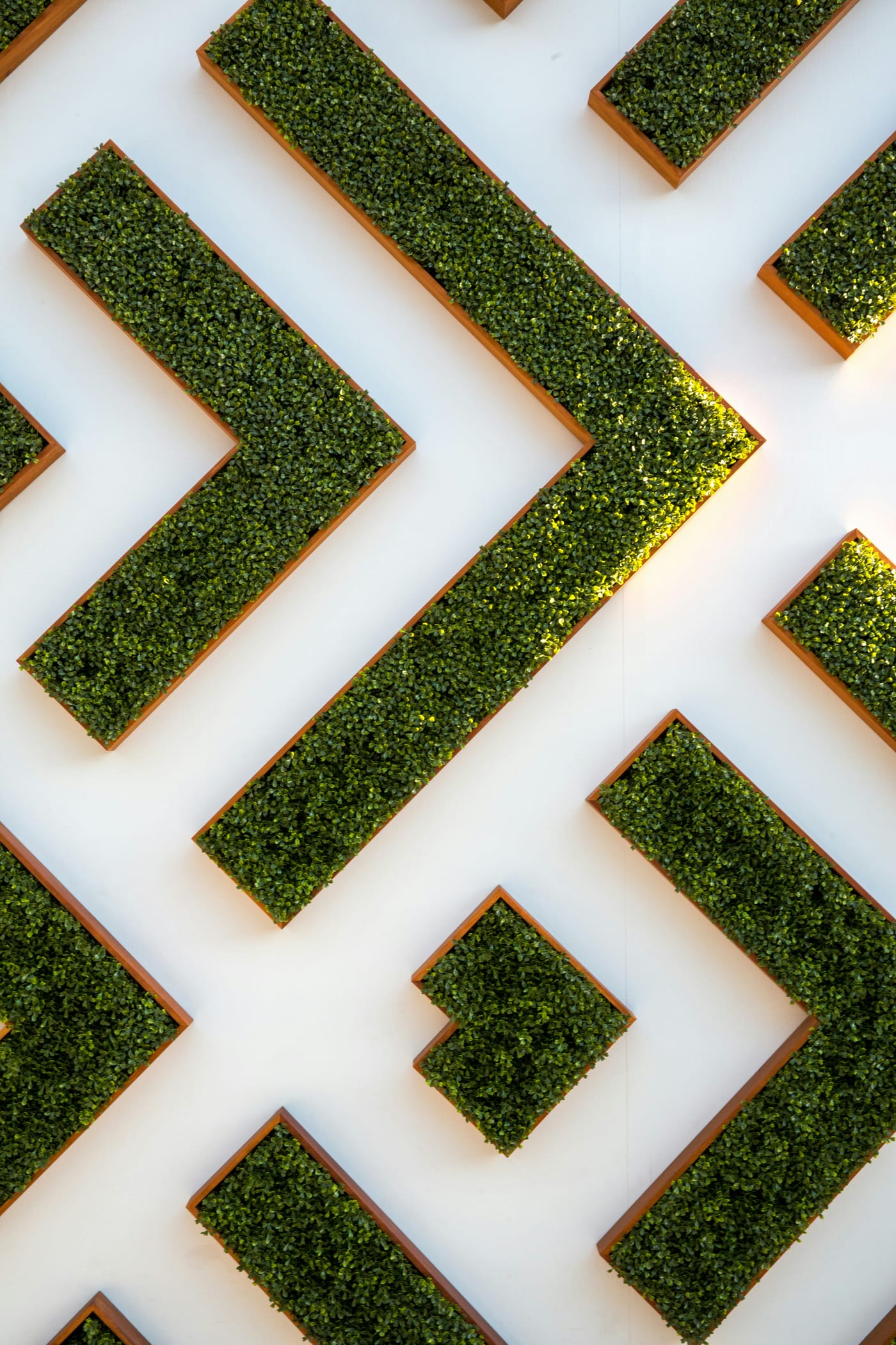 Sustainable Green Architecture